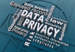 adobe apple eff electronic frontier foundation who has your back privacy report