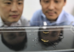 researchers robot found water bug water strider