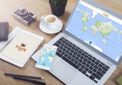 stay tigervpn lite