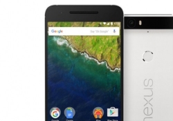 google nexus smartphone lg huawei leak nexus 5x nexus 6p