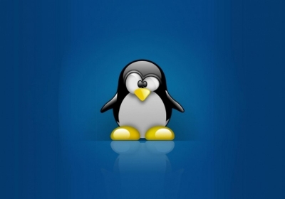 master linux