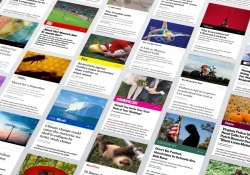 facebook instant articles arrives iphones social network news feed