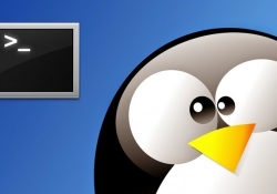 linux command line linux