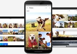 google photos google google photos auto backup photos free up space