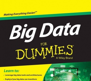 dummies ebook ebook