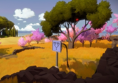 The Witness Review