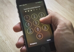 san bernardino iphone