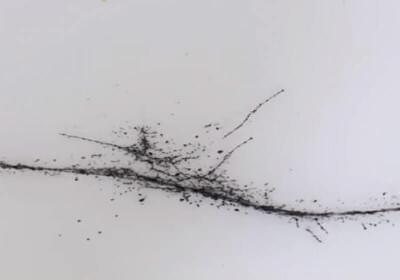 nanotubes -assemble wires blast tesla coil electricity carbon nanotubes self-assembly teslaphoresis