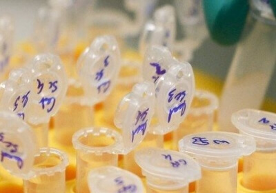 microsoft dna san francisco storage research data data storage twist bioscience storage medium doug carmean zettabyte emily m. leproust