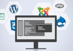 ostraining developer courses