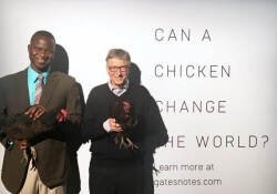 bill gates charity bill and melinda gates foundation philanthropy coop dreams