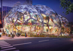 amazon biospheres seattle amazon headquarters amazon biospheres domes biodomes