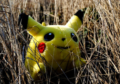 nintendo pokemon