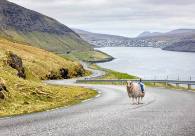 faroe islands google street view