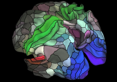updated brain map identifies regions research science brain medicine brain map brain scan human connectome project neurology neuroscience