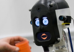 people research robots emotions lie feelings university college london university of bristol bert2