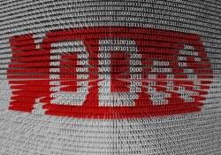 israeli ddos--hire