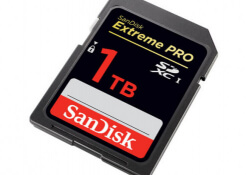 sandisk sdxc western digital sd card