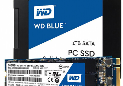 western digital ssd green blue sandisk storage blue ssd green ssd