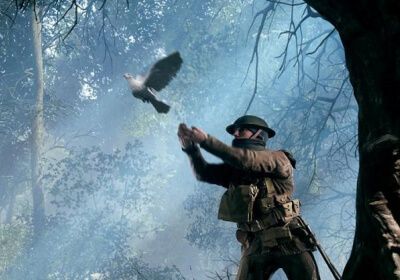 play pigeon battlefield