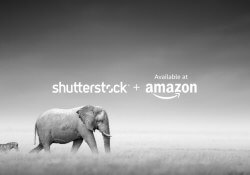 amazon shutterstock photography shutterstock collection