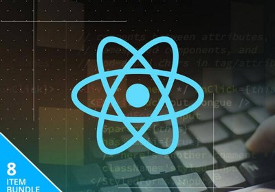 reactjs programming training coding