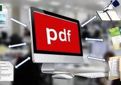 pdf