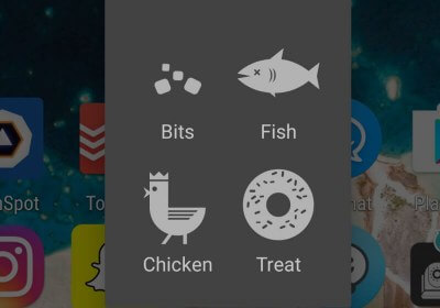 One of Android's Easter Eggs is a Flappy Bird-style Game
