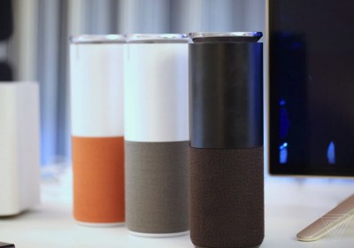 smart smart speaker police