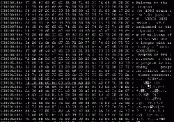 virus