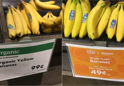 amazon foods whole foods echo