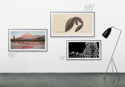 samsung qled tvs