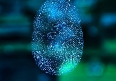 identity fido alliance biometric fido
