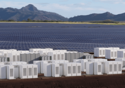 tesla ceo elon musk puerto rico tesla hurricain maria power grid