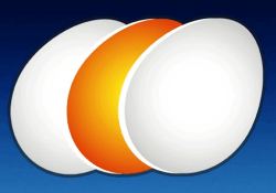 newegg ponzi south korean zalman asi