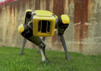 resist urge pet boston dynamics newest robodog