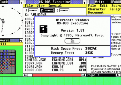 During its earliest days in development, Windows 1.0 was known by what name?
