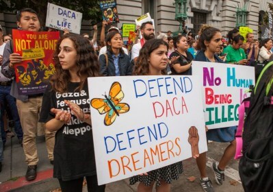 cook zuckerberg bezos ceos daca trump