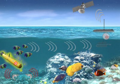 DARPA PALS Marine life