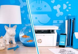 hp laser printer