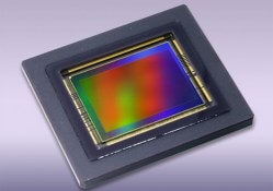 canon found camera sensor