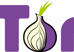 tor project android privacy alpha app tor tor browser