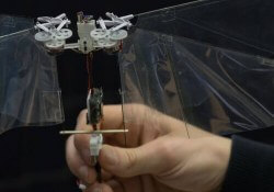 dutch robot research netherlands robotics drone