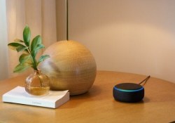 amazon echo dot alexa