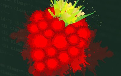 raspberry pi