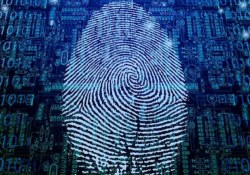 samsung fingerprint sensor galaxy s10 patent