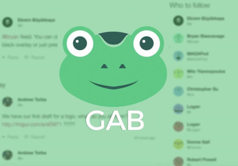 Gab website offline after GoDaddy pulls support