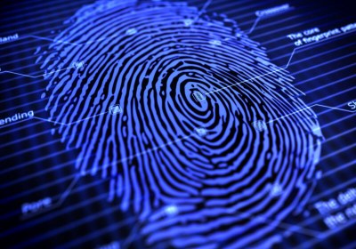 w3c webauthn password browser authentication fido alliance fido