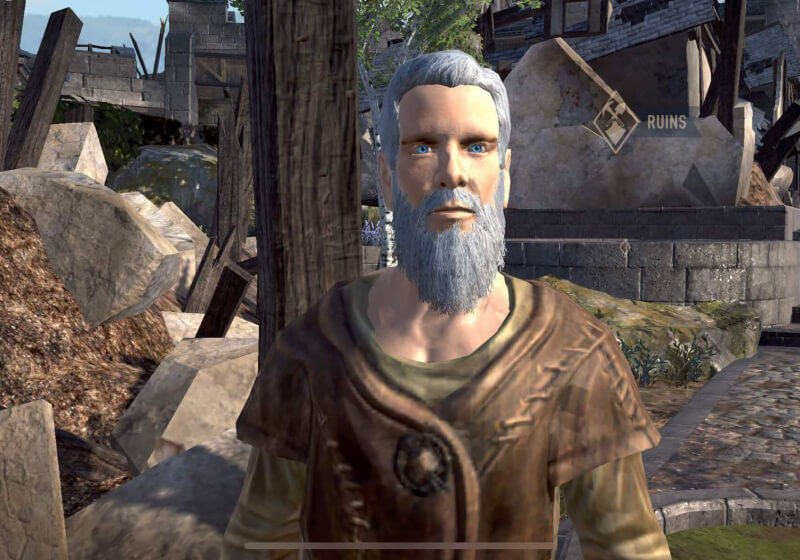 The Elder Scrolls Blades launches in early access, first (and second