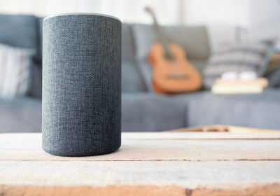 digital privacy voice assistant